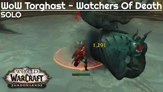 WoW Shadowland Watchers Of Death - Torghast Solo