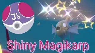 ⭐Shiny Magikarp⭐ Mass Outbreak Pok&eacute;mon Scarlet & Violet #shinypokemon #shinyhunting