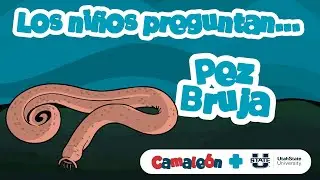 Pez bruja: ciencia pegajosa del oc&eacute;ano