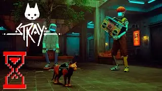 В поисках Клементины // Stray