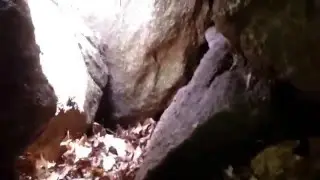 Going to the caves: getting lost in forest