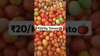 Tomato Price ₹20($0.24) per Kg   #fruit #veggie #tomatoprices #todayvegetableprice #rates