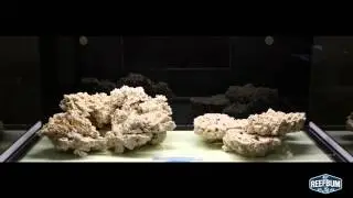 Marco Rocks Aquascape Time-Lapse Video