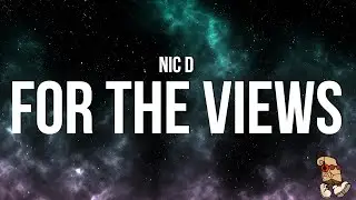 Nic D - For the views (Lyrics)