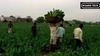 Science and Technology for improved food security
