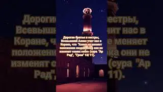 Сура 