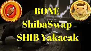 Kripto Sesli Haber |  Shibarium Bu Hafta Piyasaya S&uuml;r&uuml;lecek | BONE ShibaSwap SHIB Yakacak