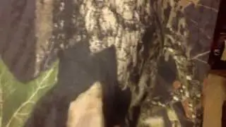 Mossy Oak New Breakup Camo Sheet Set - The Camo Shop