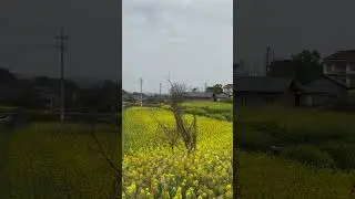 自贡市.三多古寨