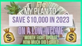 HOW TO SAVE $10,000 in 2023 ON A LOW INCOME | MONTH EIGHT UPDATE!