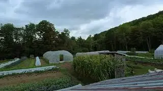 Farm Ambience August 2025