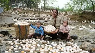 Single mother and child harvest duck eggs and squash to sell at the market - cooking with children