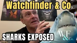 WATCHFINDER ARE SHARKS YOU HAVE BEEN WARNED! 