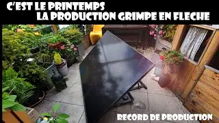 LA PRODUCTION DE MON PANNEAU SUNOLOGY DECOLLE + NOUVEAU PRODUIT SUNOLOGY CITY