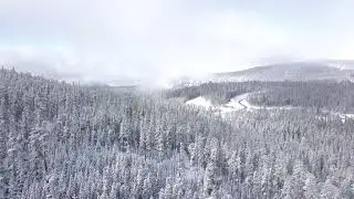 Steam rises and escapes from the depths of the forest
