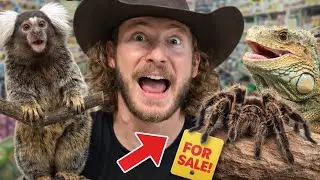 You won't BELIEVE what this Pet Shop sells!