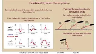 Fore-Aft Leg Specialization Controller for a Dynamic Quadruped