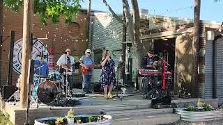 Java Llamas - End of the Line (Traveling Wilburys)