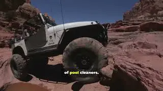Best Automatic Pool Cleaners 2025 Review | Miami Pool Maintenance Tips
