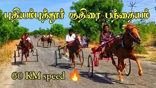 4 புதியம்புத்தூர் குதிரை பந்தையம் தூத்துக்குடி மா @Vetritamilan