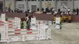 Stenbækgårds Mojito, 5 years Final 2018