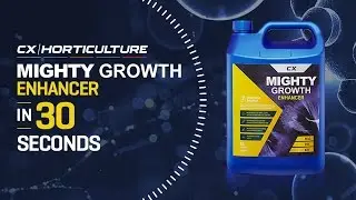 Mighty Growth Enhancer - 30 Second Fact Finder