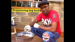 WHAT WE FEED OUR PUPPIES ,DOG FOOD PREPARATION AT PAWFARM KENNEL