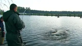 Pecanje šarana jezero Tresetište - Palić | Tresetiste Carp Fishing Lake