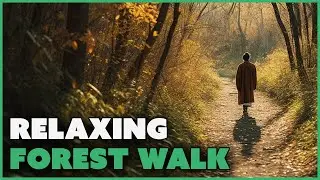 Pacific Northwest Peace: Silent Walking - A Soothing Forest Meditation Walk (4K)