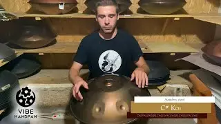 VIBE Handpan - C# Koi Stainless steel