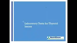 Thyroid Optimization:  Treatment Controversies and Current Research for Hypothyroidism