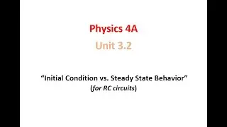 Initial Condition vs. Steady State Behavior