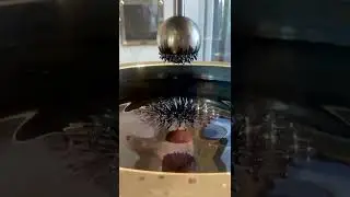 &ldquo;Black goo&rdquo; - iron powder in oil affected by magnetic field 😁