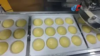 Mochi Ice Cream Machine from China Shanghai Yucheng Machinery