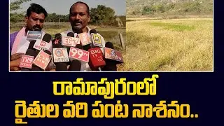 రామాపురంలో రైతుల వరి పంట నాశనం.. | Suryapet Dist News | @Hittvtelugunews