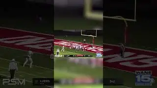 Fort Wayne Bishop Luers Knights defeated Twin Lakes