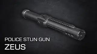 Police stun gun ZEUS: Presentation