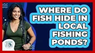 Where Do Fish Hide In Local Fishing Ponds?