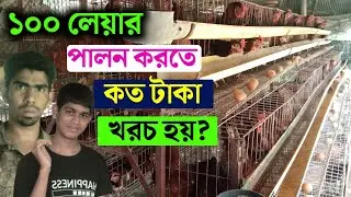 ১০০ লেয়ার মুরগি পালন পদ্ধতি |১০০ লেয়ার মুরগি পালন করতে কত টাকা খরচ হয় | piltry farming villaige bd