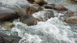 A stream near #sitavani