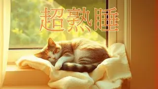 超熟睡1短い睡眠でも朝スッキリ！ 睡眠の質を高める睡眠音楽｜心身の緊張を解きリラックス効果｜自律神経 疲労回復 熟睡 癒し ストレス緩和｜Deep Relaxing Sleep Music