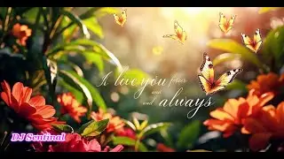 DJ Sentinal - I Love You And Always Forever