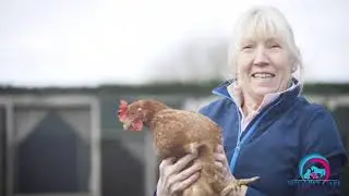 Small Animal Care