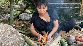 Build Shelter &ndash; Find Food &ndash; Cook | Forest Survival