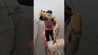 Awesome fishing idea with tempting bait in muddy watter. #fishing #bait