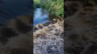 River Wild
