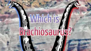 Brachiosaurus Is Not The Brachiosaurus You Think