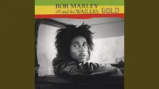 Punky Reggae Party (Single Version)