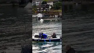 🎣 Fischer in der Schweizer See #trending #nature #switzerland #switzerlandvillage