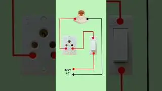 Test Lamp Wiring Diagram #shortsfeed #electrical #shorts #electrician